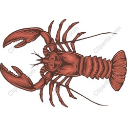 Artistic Lobster