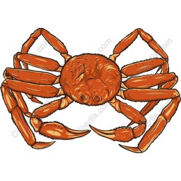 Vibrant Crab in and