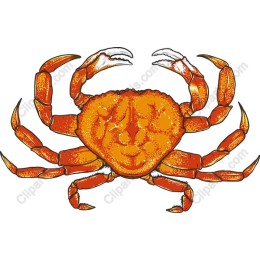 Smiling Crab