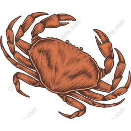 Oceanic Elegance: Crab
