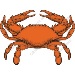 Vintage Crab