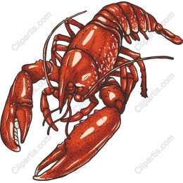 Vibrant Lobster