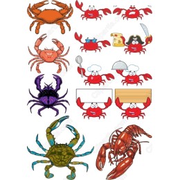 Crustacean Collection: of Playful Crabs