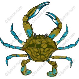 Vibrant Crab