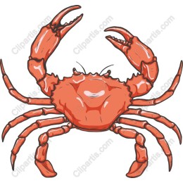 Lively Crab