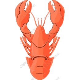 Vibrant Lobster