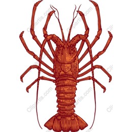 Vintage Lobster