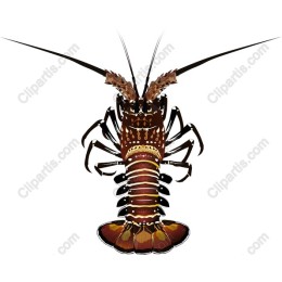 Ultimate Lobster