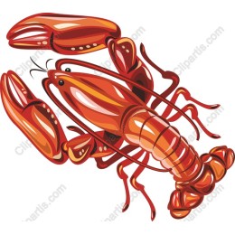 Vibrant Lobster