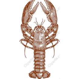 Vintage Lobster