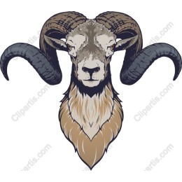 Majestic Ram Head