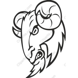 Bold Ram Head