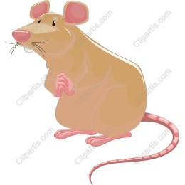 Charming Cartoon Rat