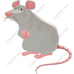 Cheerful Gray Rat