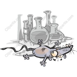 Laboratory Mouse