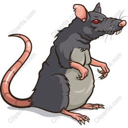 Cartoon Rat