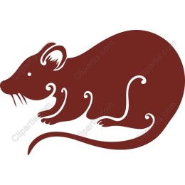 Playful Mouse