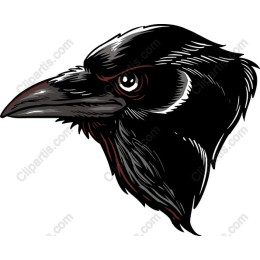 Enigmatic Crow Head