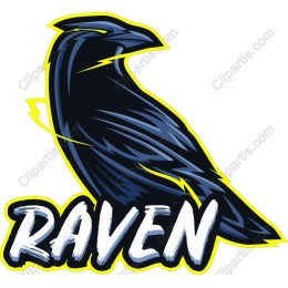 Electrifying Raven