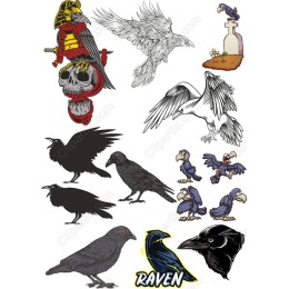 Raven & Bird Collection