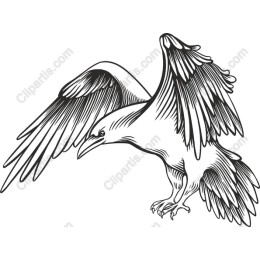 Majestic Bird in Flight