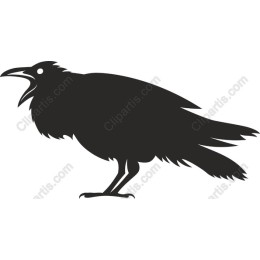 Crow