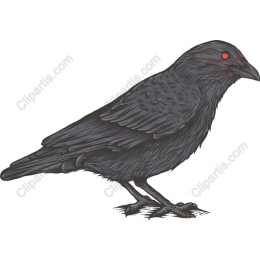 Mystical Raven