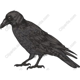 Intricate Raven