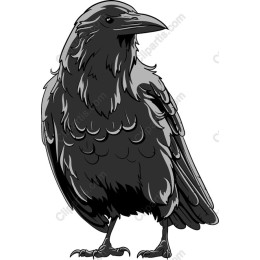 Mystical Crow