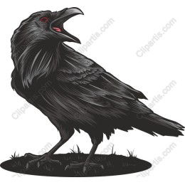 Mystical Raven