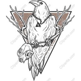 Mystical Raven with Skull
