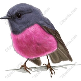 Vibrant Bird