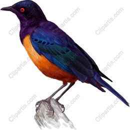 Vibrant Bird