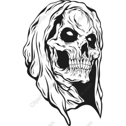 Intricate Skull