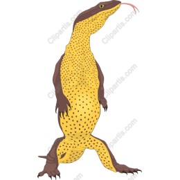 Vibrant Lizard