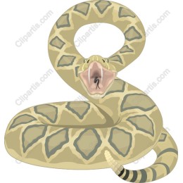 Realistic Green Python