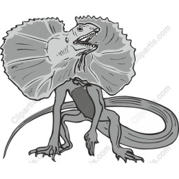 Whimsical Frilled Lizard