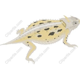 Thorny Devil