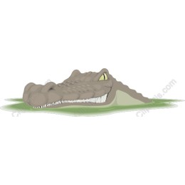 Fierce Crocodile Head