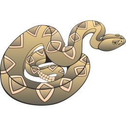 Elegant Serpent