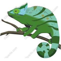 Charming Chameleon