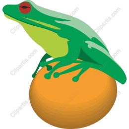 Colorful Tree Frog on Orange Sphere