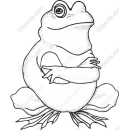 Whimsical Frog