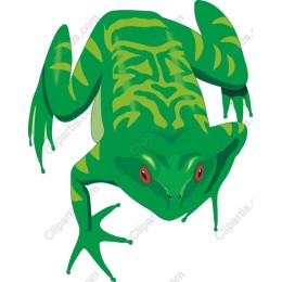 Green Frog