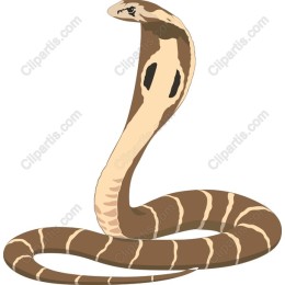 Cobra