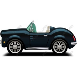 Elegant Black Convertible Car