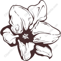 Stylish Floral