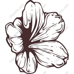 Elegant Floral