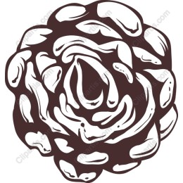 Elegant Hand-Drawn Rose