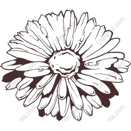 Floral Elegance